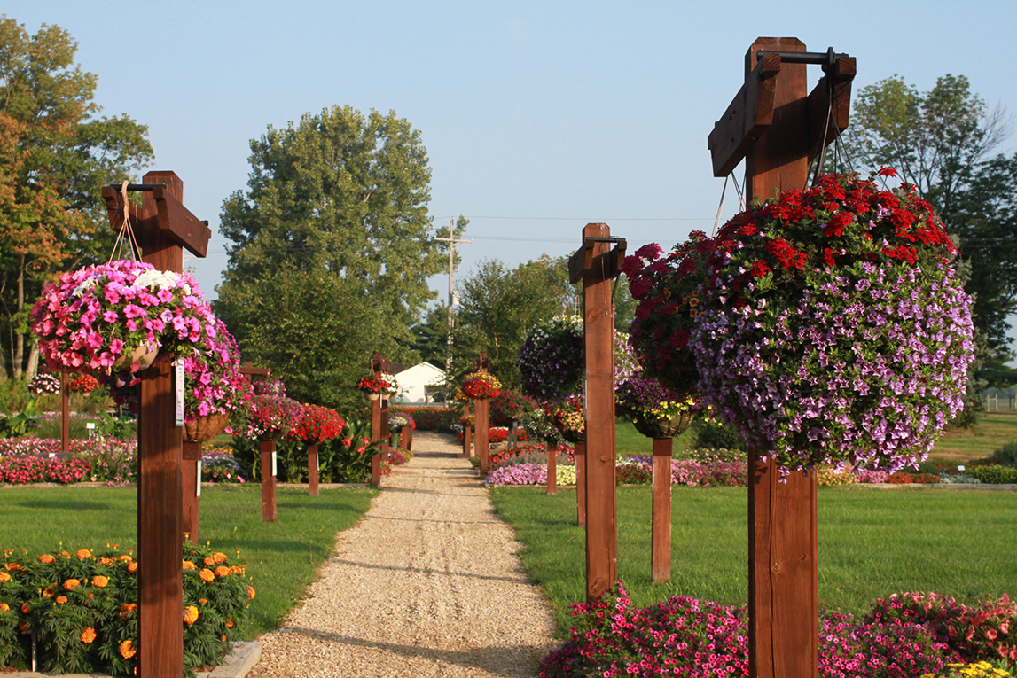 Heartland Growers Wholesale Nursery And Greenhouse