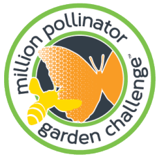 polinator